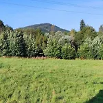 Apartman Brzozowa *