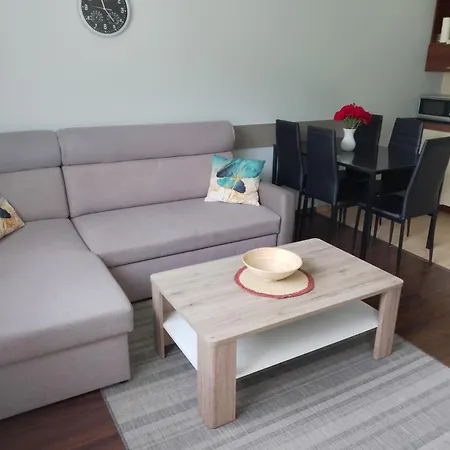 Apartment Brzozowa