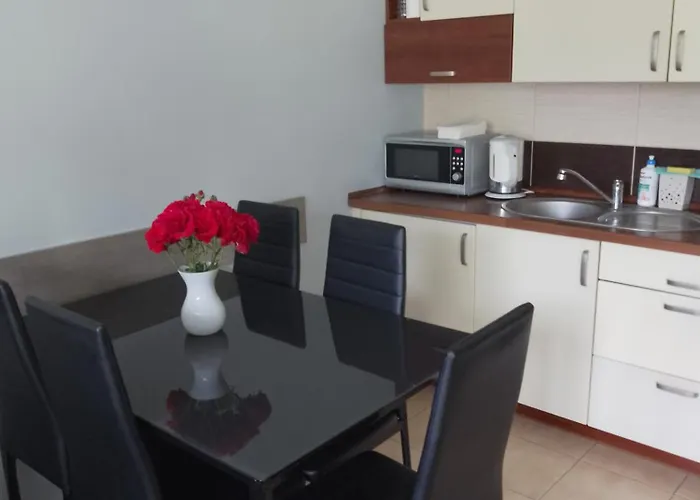 Brzozowa Apartment Ustron